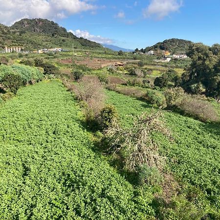 Casa Monterrey Tres Villa Mazo Eksteriør billede