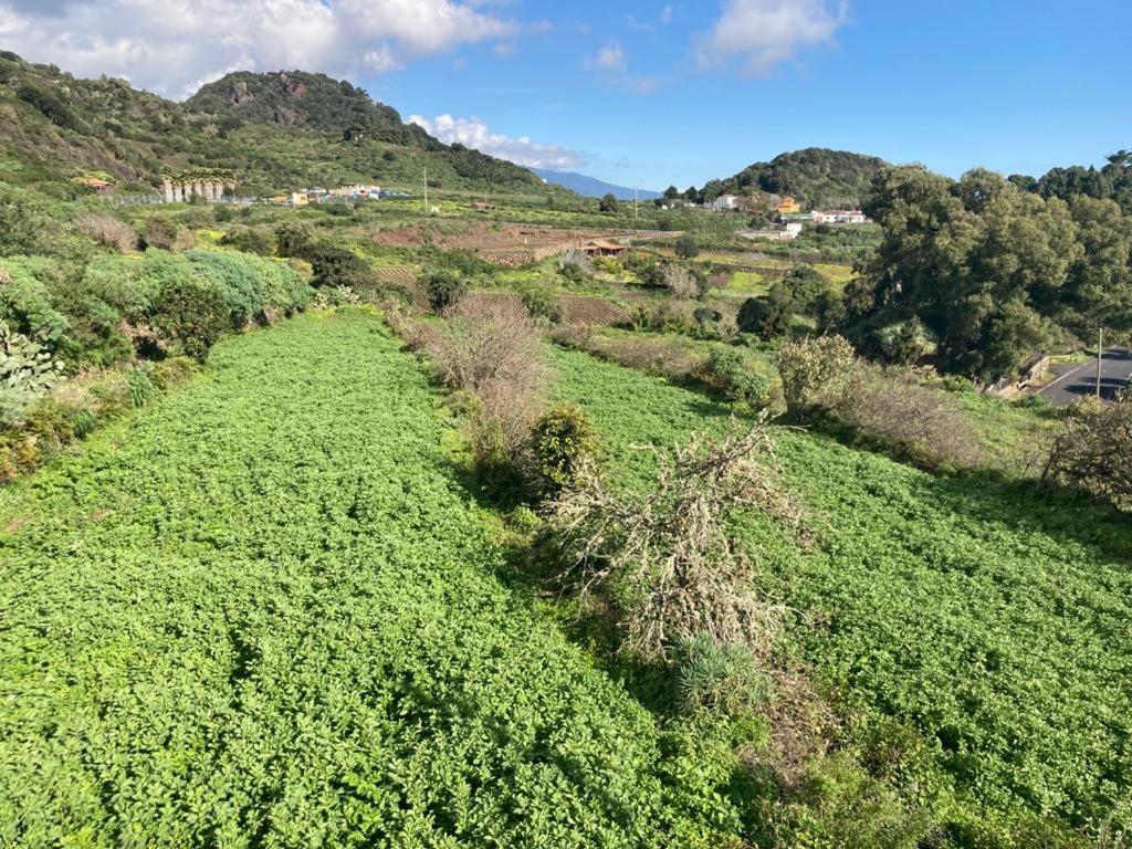 Casa Monterrey Tres Villa Mazo Eksteriør billede